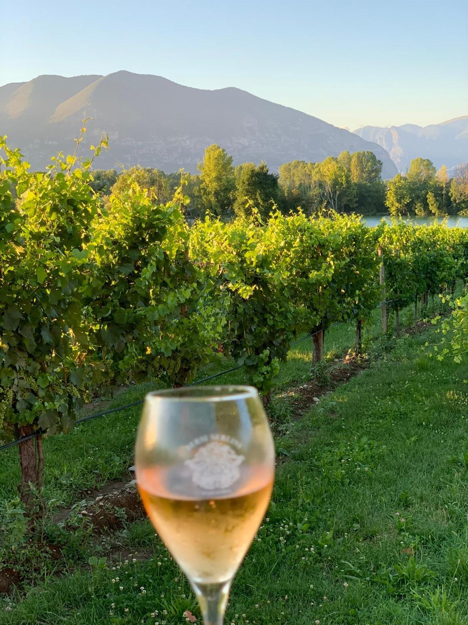 La Casa Di Saten - Appartamento In Franciacorta Erbusco Exterior foto